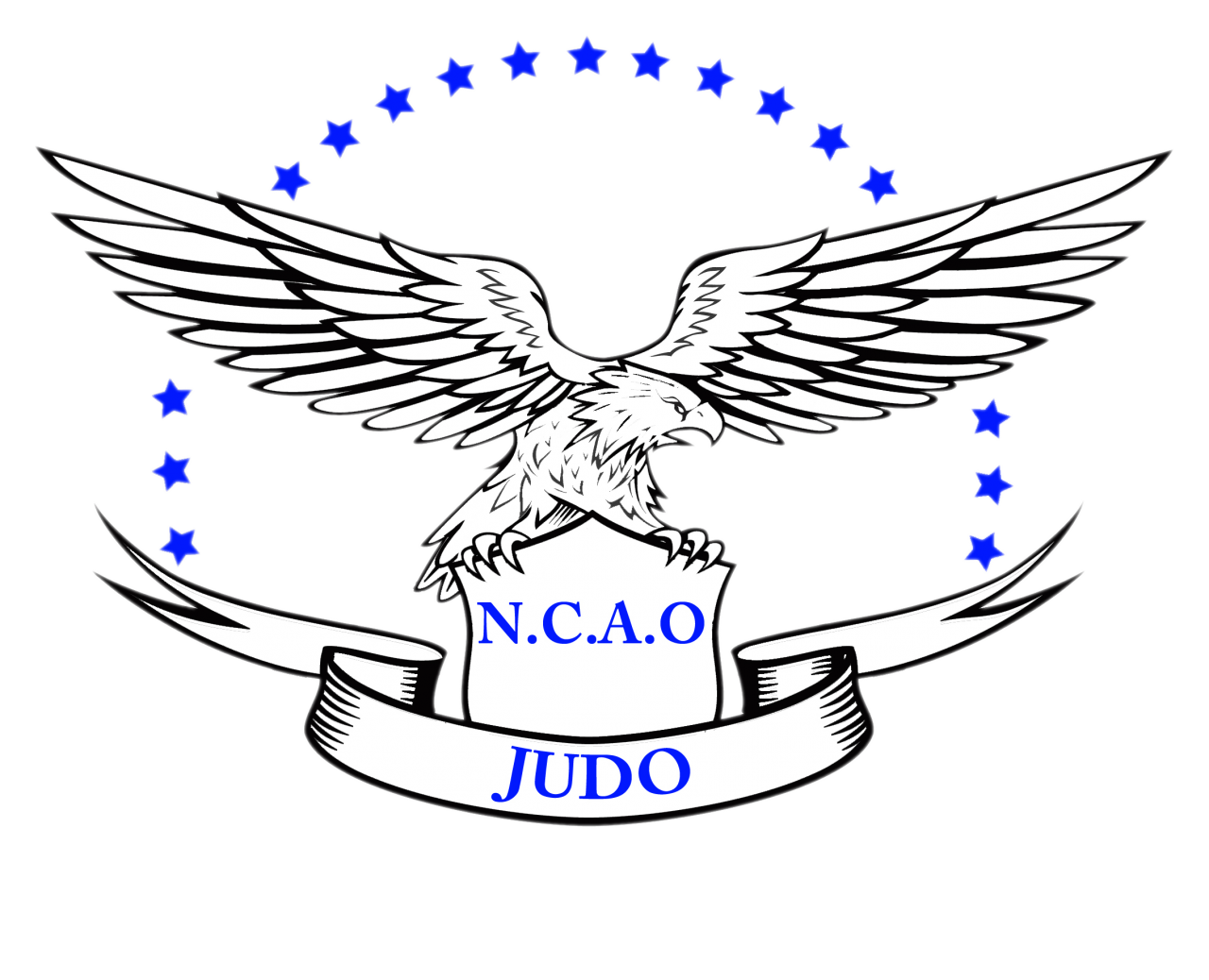 Logo NICE COTE D AZUR OMNISPORTS JU